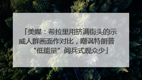 美媒：希拉里用挤满街头的示威人群画面作对比，嘲讽特朗普“低能量”阅兵式观众少