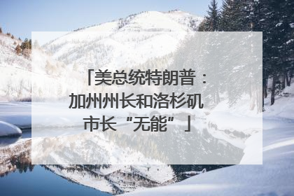 美总统特朗普：加州州长和洛杉矶市长“无能”