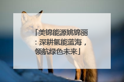 美锦能源姚锦丽：深耕氢能蓝海，领航绿色未来