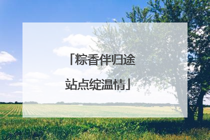 粽香伴归途 站点绽温情