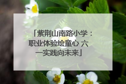 紫荆山南路小学：职业体验绘童心 六一实践向未来