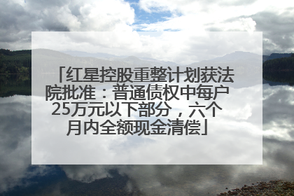 红星控股重整计划获法院批准：普通债权中每户25万元以下部分，六个月内全额现金清偿