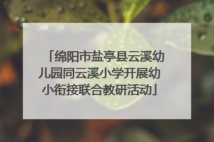 绵阳市盐亭县云溪幼儿园同云溪小学开展幼小衔接联合教研活动