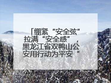 绷紧“安全弦”拉满“安全感”，黑龙江省双鸭山公安用行动为平安“加码”