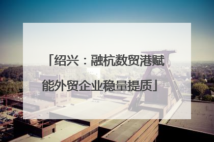 绍兴：融杭数贸港赋能外贸企业稳量提质