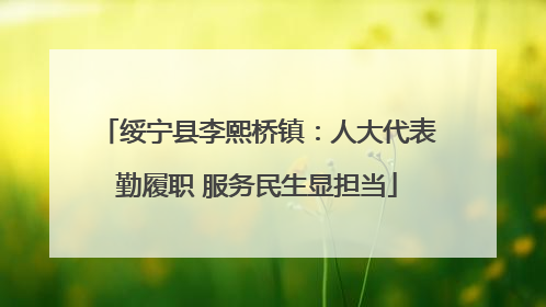 绥宁县李熙桥镇：人大代表勤履职 服务民生显担当