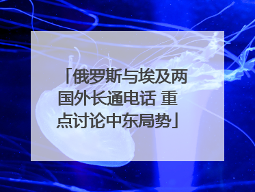 俄罗斯与埃及两国外长通电话 重点讨论中东局势