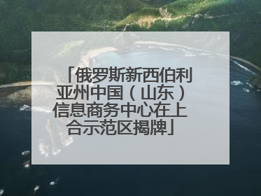 俄罗斯新西伯利亚州中国（山东）信息商务中心在上合示范区揭牌