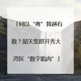 何以“粤”算越有数？韶关集群开秀大湾区“数字肌肉”