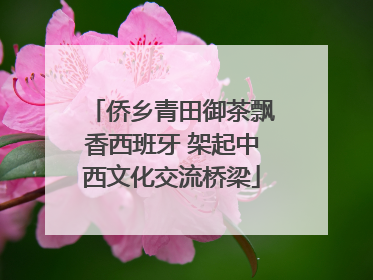 侨乡青田御茶飘香西班牙 架起中西文化交流桥梁