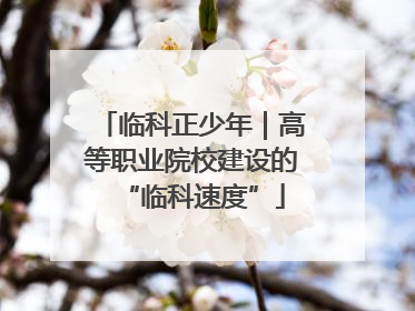 临科正少年｜高等职业院校建设的“临科速度”