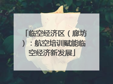 临空经济区（廊坊）：航空培训赋能临空经济新发展