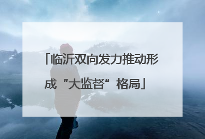 临沂双向发力推动形成“大监督”格局