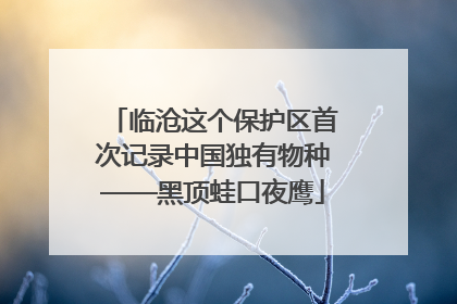 临沧这个保护区首次记录中国独有物种——黑顶蛙口夜鹰