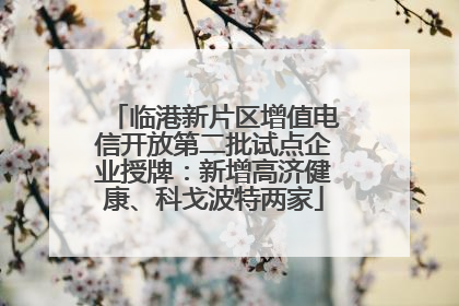 临港新片区增值电信开放第二批试点企业授牌：新增高济健康、科戈波特两家