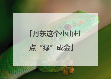 丹东这个小山村点“绿”成金