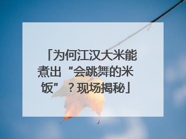 为何江汉大米能煮出“会跳舞的米饭”？现场揭秘