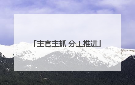 主官主抓 分工推进