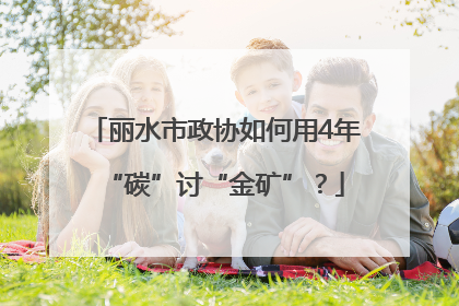 丽水市政协如何用4年“碳”讨“金矿”？