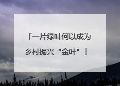 一片绿叶何以成为乡村振兴“金叶”