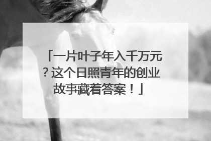 一片叶子年入千万元？这个日照青年的创业故事藏着答案！