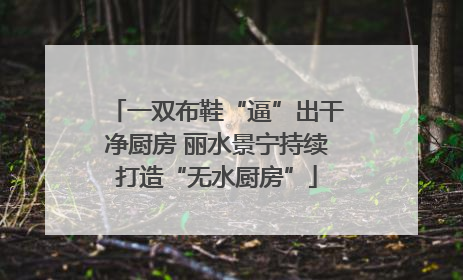 一双布鞋“逼”出干净厨房 丽水景宁持续打造“无水厨房”