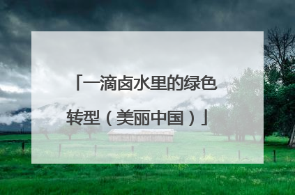 一滴卤水里的绿色转型（美丽中国）