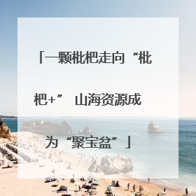 一颗枇杷走向“枇杷+” 山海资源成为“聚宝盆”