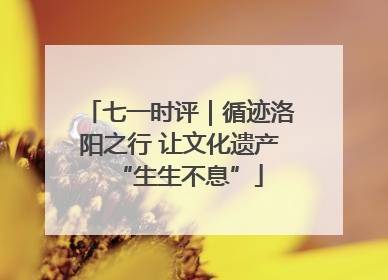 七一时评｜循迹洛阳之行 让文化遗产“生生不息”