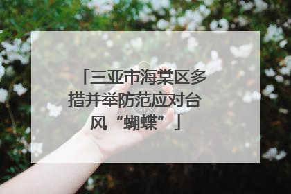三亚市海棠区多措并举防范应对台风“蝴蝶”