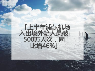 上半年浦东机场入出境外籍人员破500万人次，同比增46%