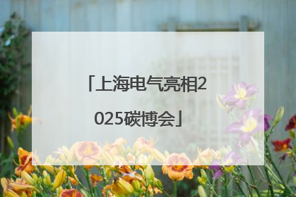 上海电气亮相2025碳博会