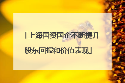 上海国资国企不断提升股东回报和价值表现