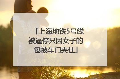 上海地铁5号线被逼停只因女子的包被车门夹住