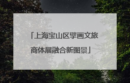 上海宝山区擘画文旅商体展融合新图景