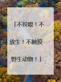 不投喂！不放生！不触摸野生动物！