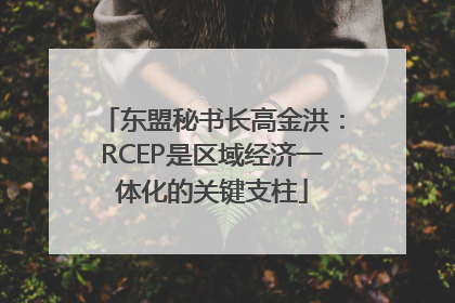 东盟秘书长高金洪：RCEP是区域经济一体化的关键支柱
