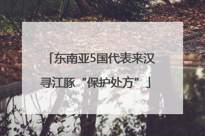 东南亚5国代表来汉寻江豚“保护处方”