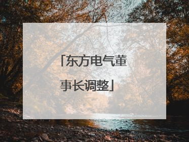 东方电气董事长调整