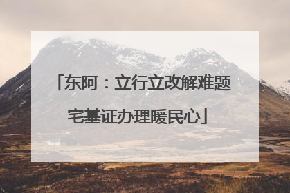东阿：立行立改解难题 宅基证办理暖民心