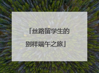 丝路留学生的别样端午之旅