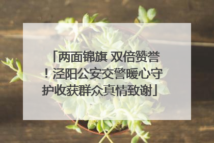 两面锦旗 双倍赞誉！泾阳公安交警暖心守护收获群众真情致谢
