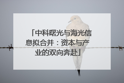 中科曙光与海光信息拟合并：资本与产业的双向奔赴