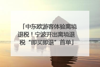 中东欧游客体验离境退税！宁波开出离境退税“即买即退”首单