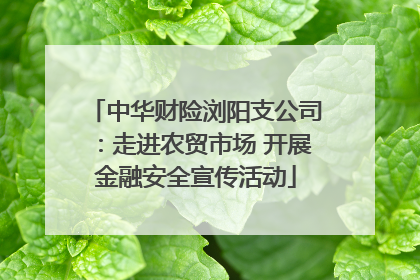 中华财险浏阳支公司：走进农贸市场 开展金融安全宣传活动