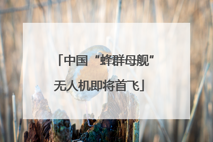 中国“蜂群母舰”无人机即将首飞