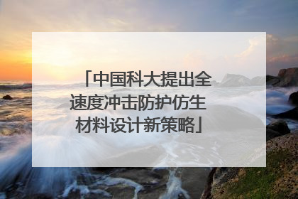 中国科大提出全速度冲击防护仿生材料设计新策略