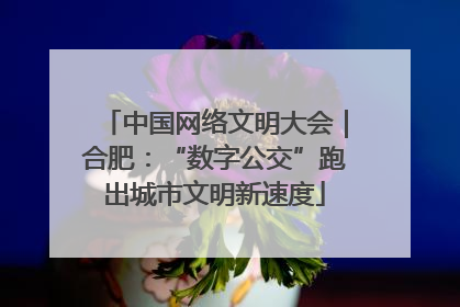 中国网络文明大会｜合肥：“数字公交”跑出城市文明新速度