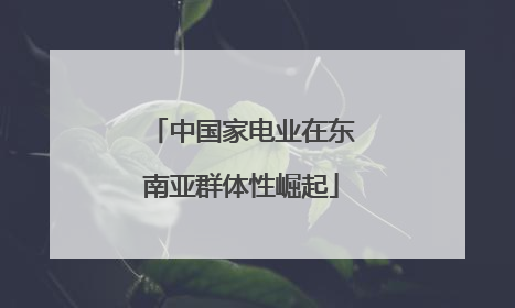 中国家电业在东南亚群体性崛起