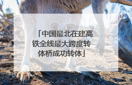 中国最北在建高铁全线最大跨度转体桥成功转体